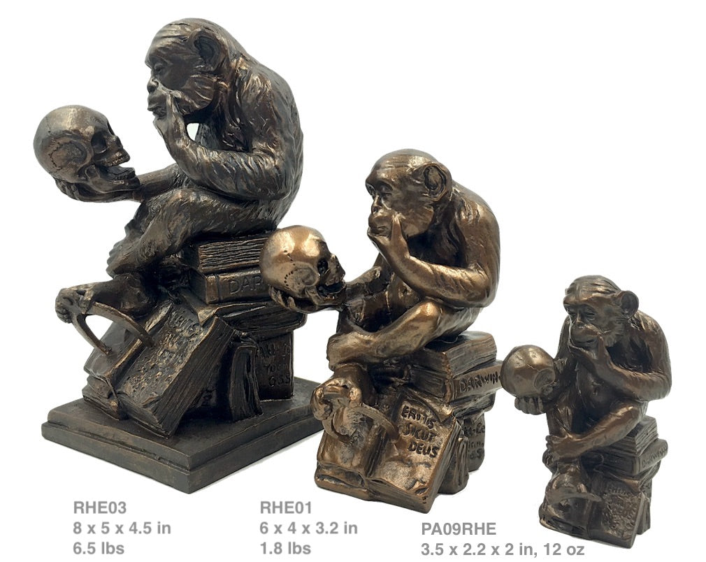 Monkey Holding Skull Sitting on Pile of Books Statue by Rheinhold 8H