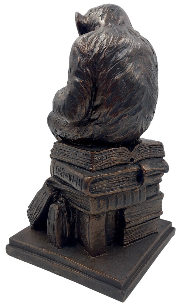 Monkey Holding Skull Sitting on Pile of Books Statue by Rheinhold 8H